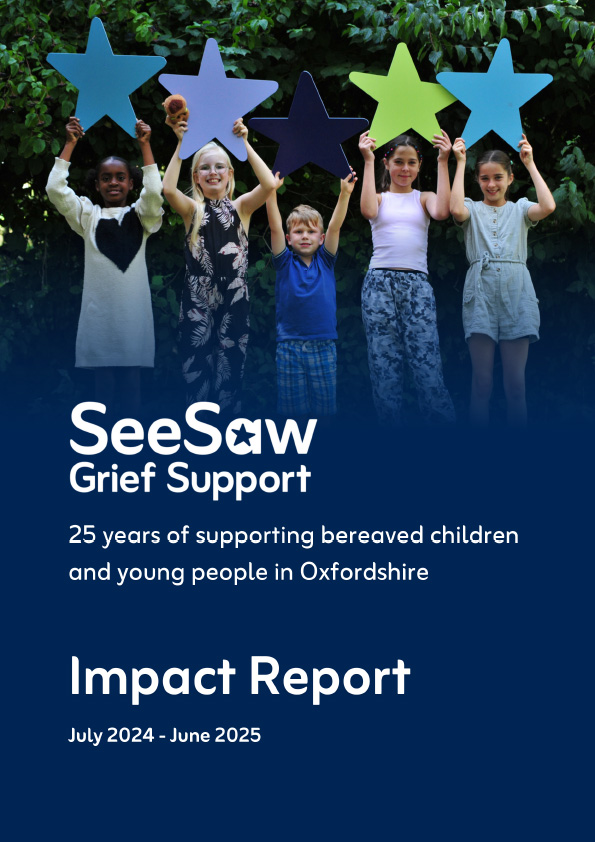 SeeSaw impact report booklet cover