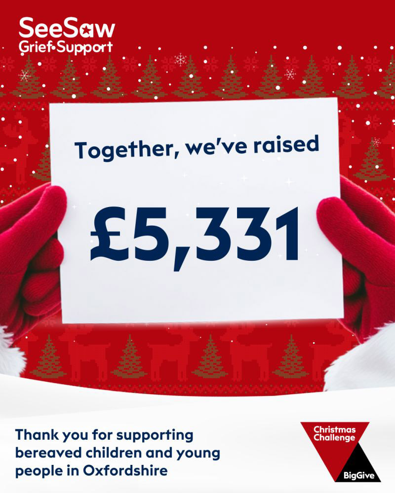Graphic showing that SeeSaw raised £5,331 in the Big Give Christmas Challenge